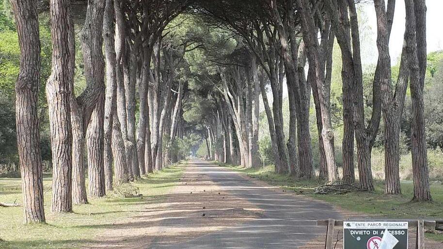 Ente Parco, in otto restano in corsa per la presidenza: ecco il terzetto dei favoriti