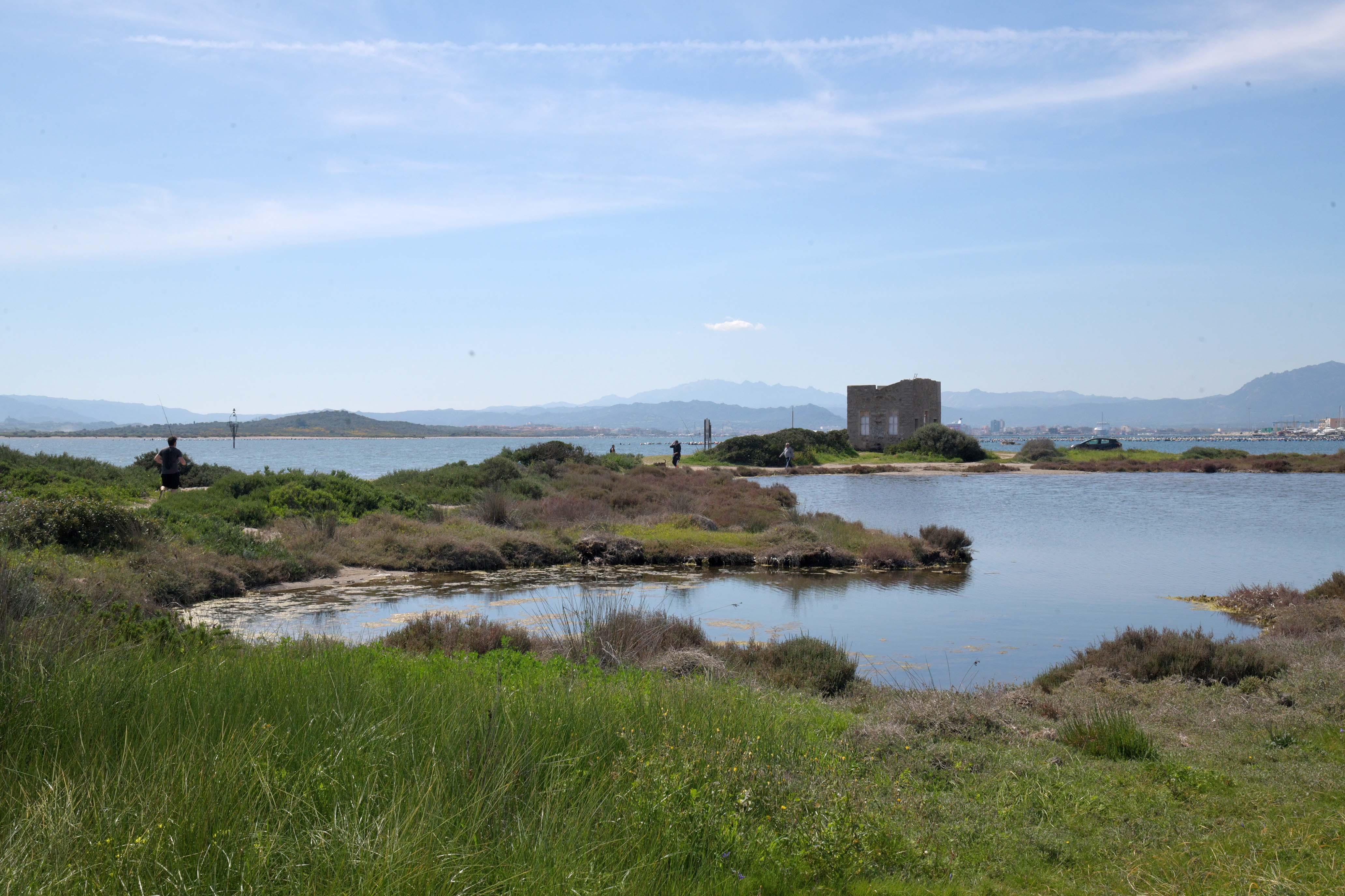 Olbia, polo nautico-ricettivo a Sa Testa: il Cipnes va avanti e coinvolge l'università 