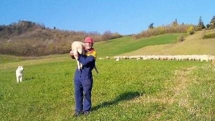 Ermanno Ferretti al pascolo con il suo gregge
