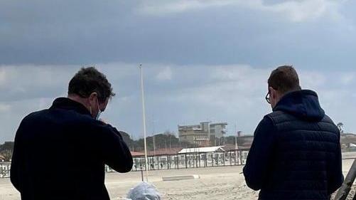 Carcassa di delfino trovata lungo la spiaggia vicino al Bagno La Perla