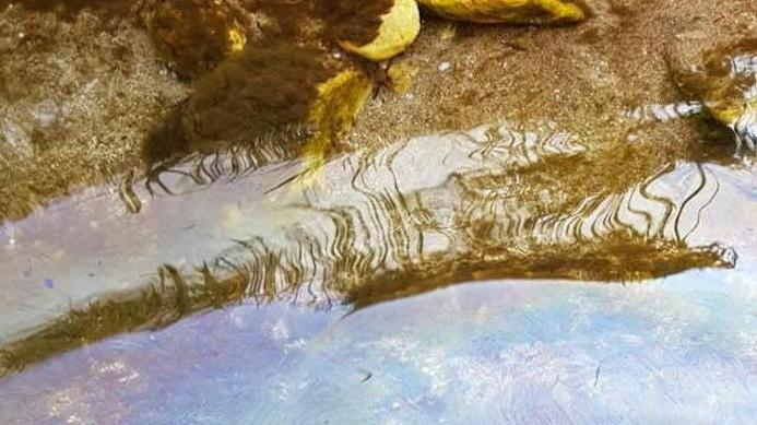 Segnalato uno sversamento di sostanze oleose nel fiume