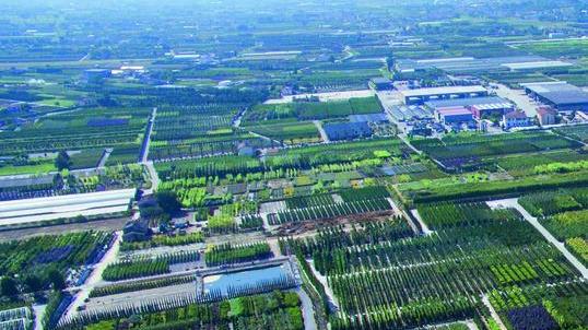 Export, i conti tornano Vivaismo in ripresa