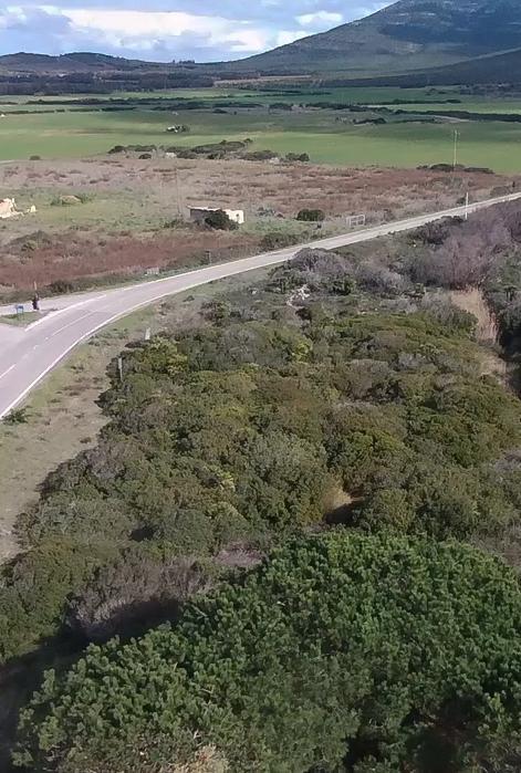 Distretto rurale, nuovo incontro in streaming 