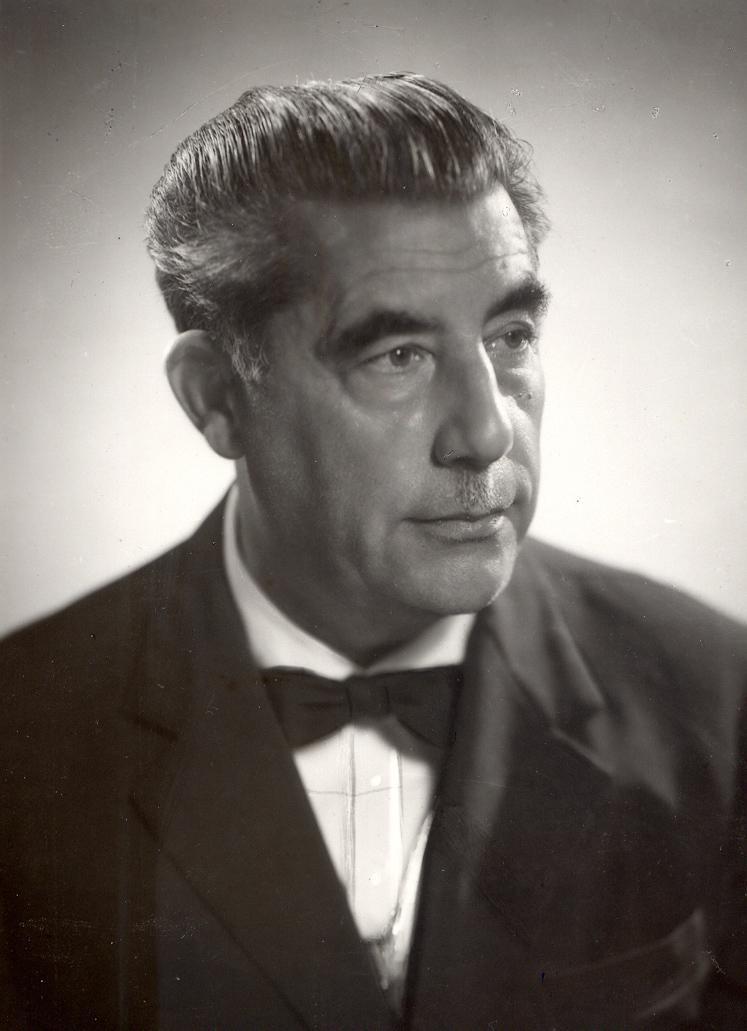 Mannironi, dalla prigionia alla Costituente 