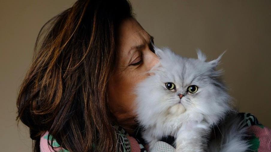Carpi. Daniela, storie di gatti e di Perù, un lama adottato a distanza
