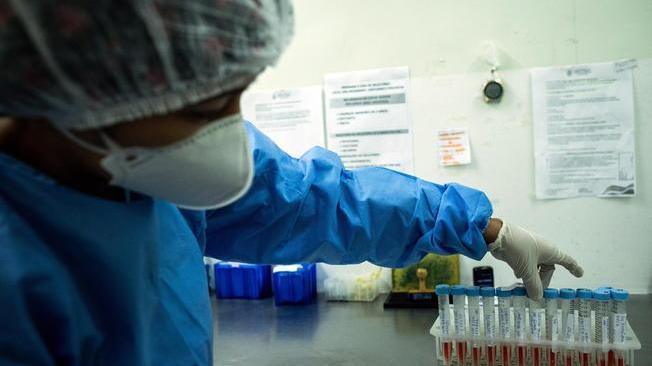 Brasile, identificata una nuova variante di coronavirus