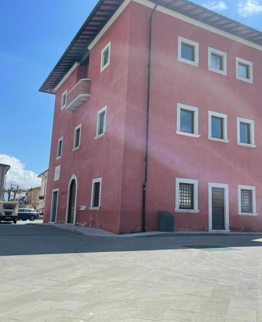 Il mangime sterilizzante aiuta a contenere i piccioni 