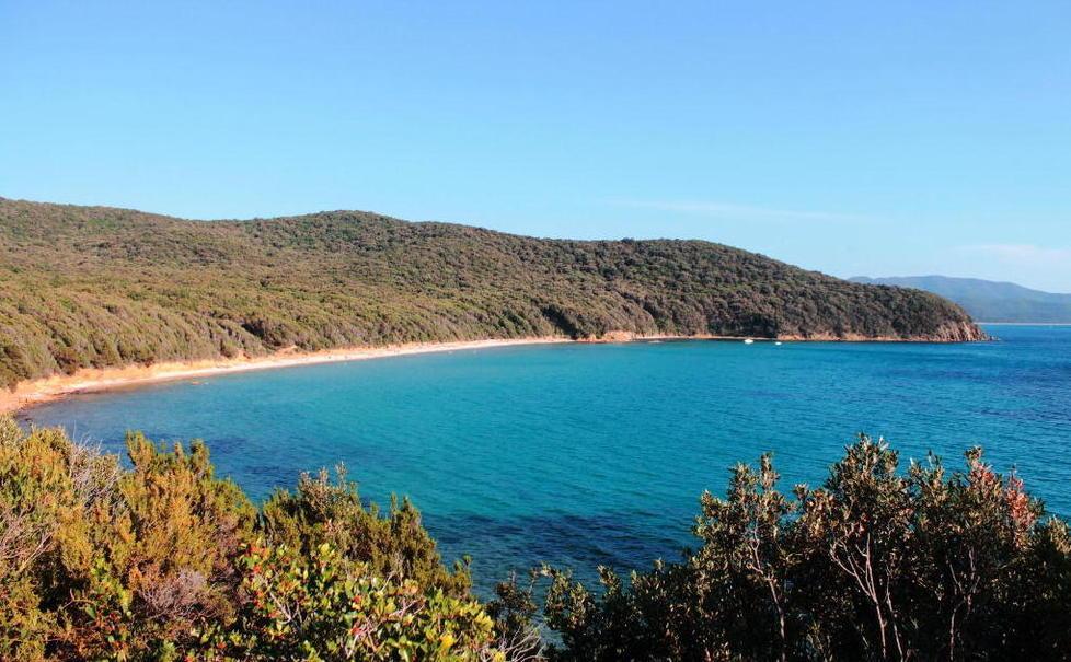 Ingressi contingentati a Cala Violina Il ticket incassa l’ok degli imprenditori 
