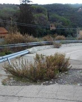 Corsini chiede aiuto alla Regione «Soldi per la strada del Piano» 