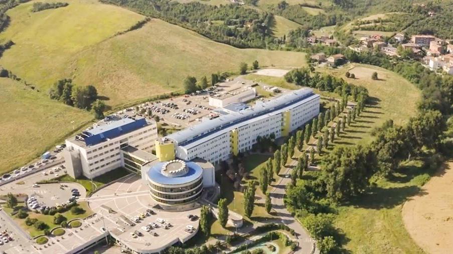 Ospedale di Sassuolo, focolaio con 3 varianti nell'" area verde"