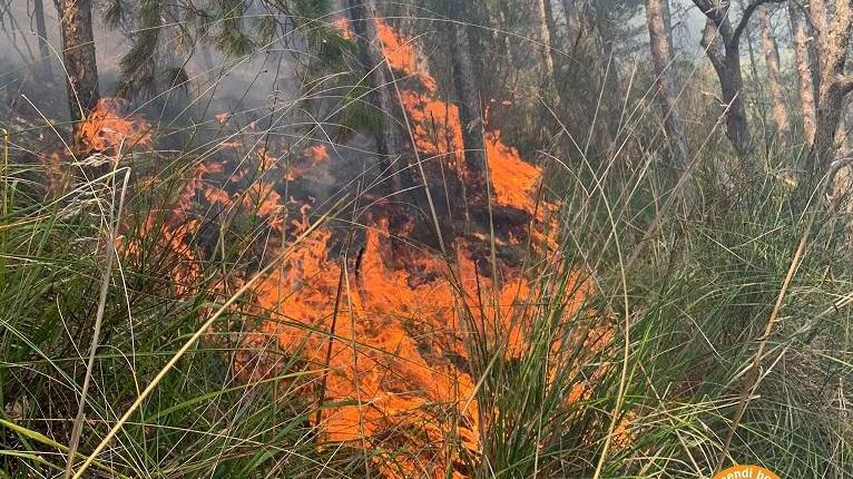 Incendio vicino a Seggiano, elicotteri in azione