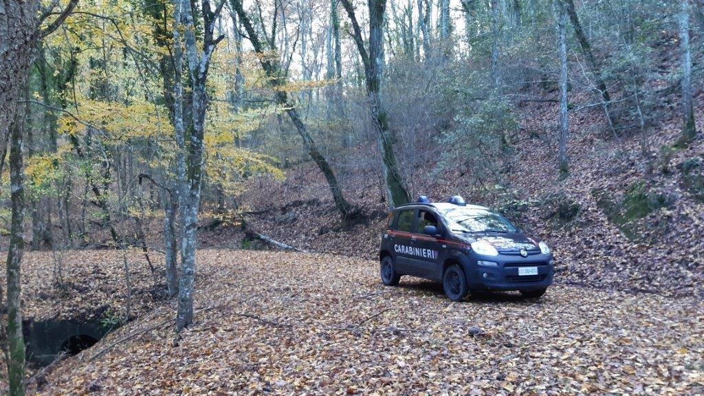 A Riparbella un cane muore tra i "lacci", indagato anziano bracconiere
