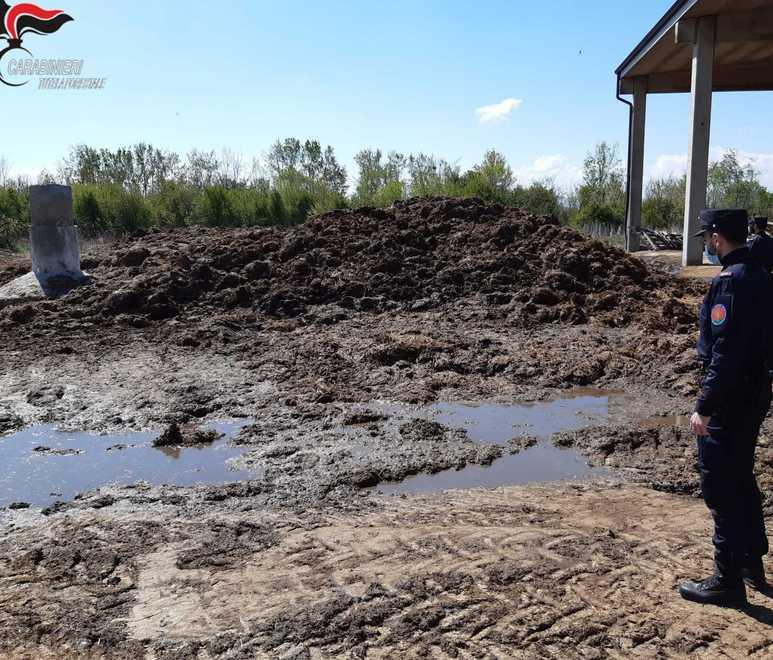 Smaltimenti irregolari di liquami, denunciato 