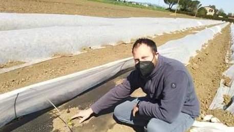 Fuochi accesi nella notte per tenere al caldo le vigne