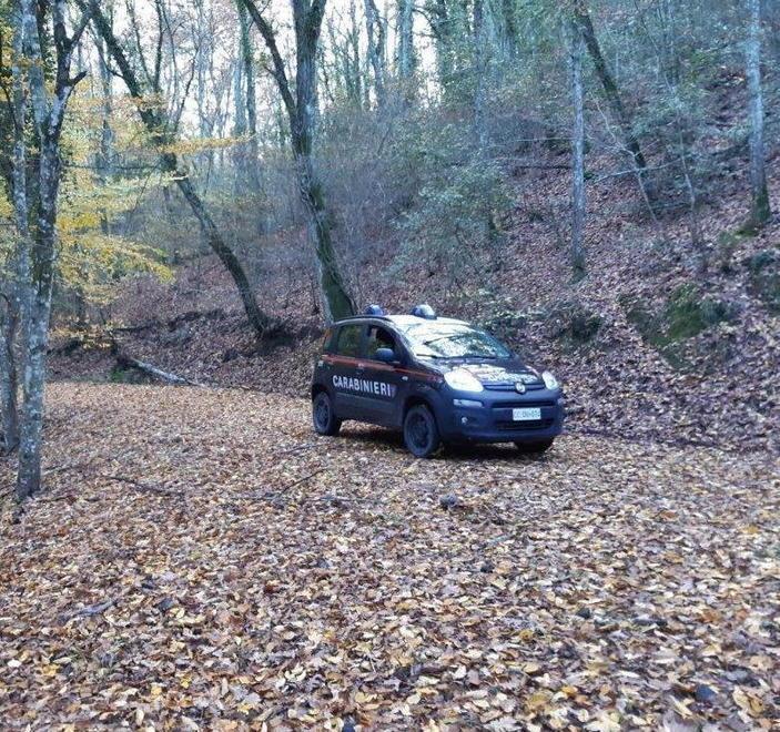 Un cane muore tra i “lacci” indagato anziano bracconiere 