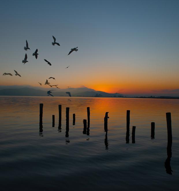 Due milioni per risanare il lago di Massaciuccoli 