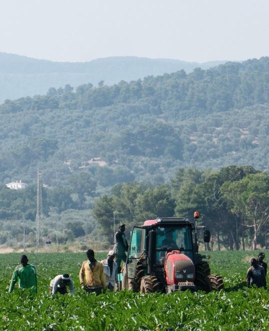 Allarme caporalato in Toscana (foto d'archivio)