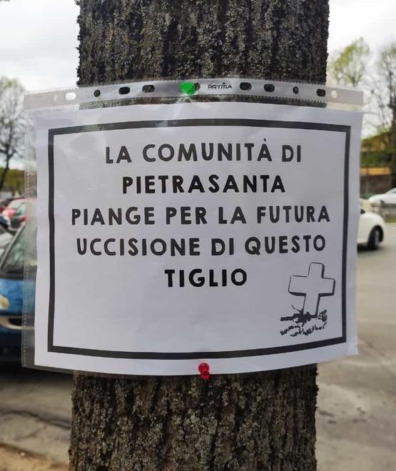 Striscioni e manifesti funebri per i tigli. E le associazioni: andate contro la legge 