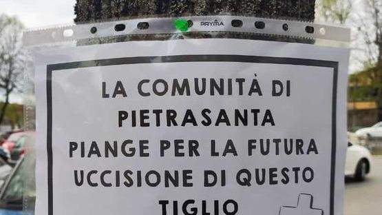 Striscioni e manifesti funebri per i tigli. E le associazioni: andate contro la legge