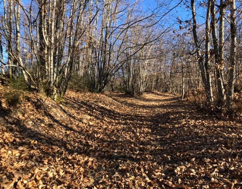 Trekking, escursioni e nuova rete sentieristica a Coreglia Antelminelli 