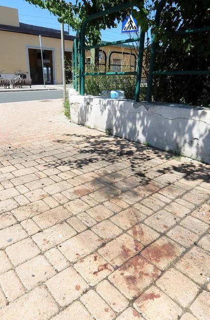 Arrostì un gatto L’uomo di 24 anni rimpatriato in Costa d’Avorio 
