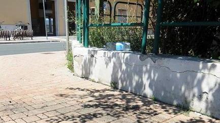 Arrostì un gatto L’uomo di 24 anni rimpatriato in Costa d’Avorio