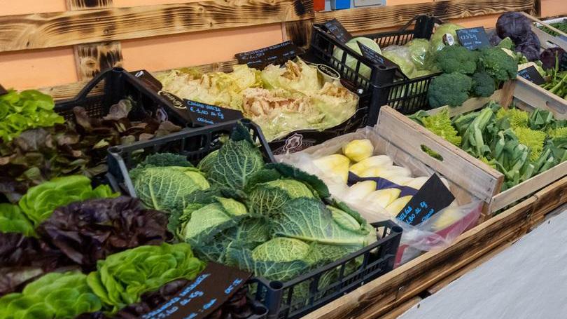 Ortofrutta, l’export è in crescita Ma cambiano acquisti e consumi