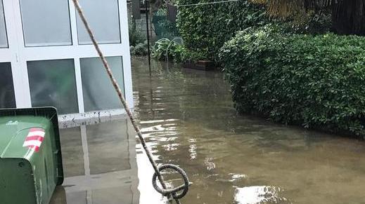 Appello della Bonifica: fossi e corsi d'acqua puliti due volte all'anno