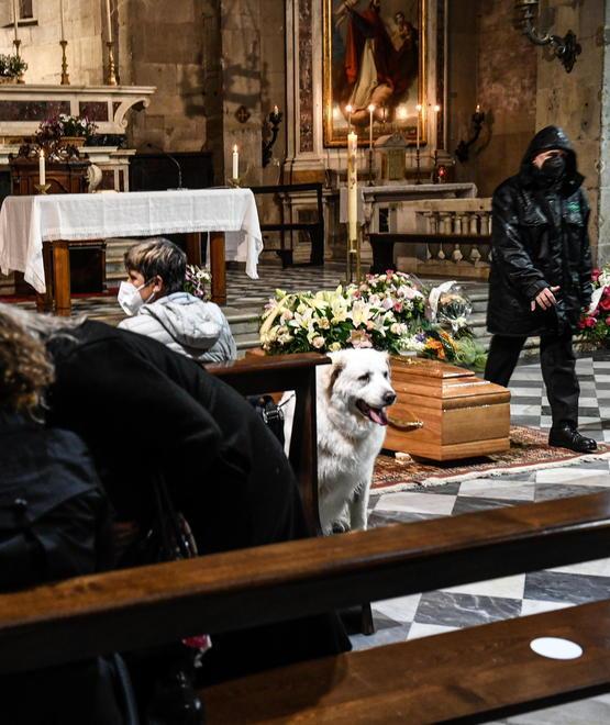 Il cane Iago in chiesa ai funerali di Gemma 