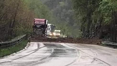 Un albero cade sulla Lodovica Traffico deviato sul Brennero
