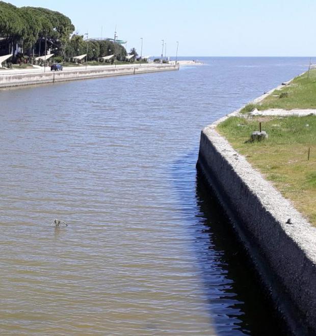 Vongole senza ossigeno L’ennesimo appello: «Aprite quel canale» 