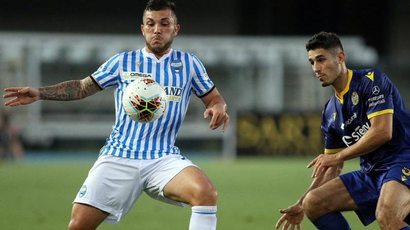 Strefezza, progetto bandiera biancazzurra: «Prima la Spal in A»