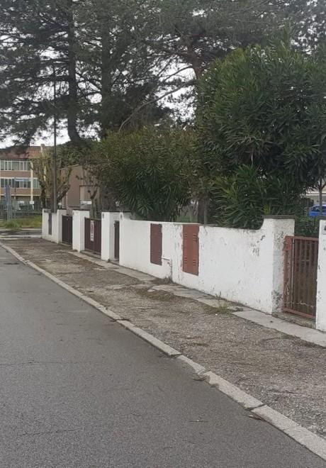 «I marciapiedi di viale Leopardi sono da rifare» E scatta la petizione 