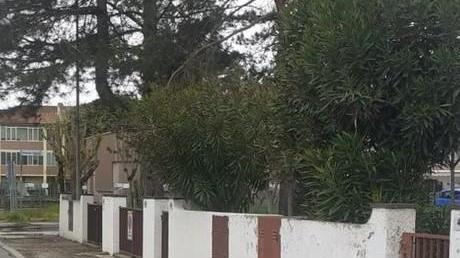 «I marciapiedi di viale Leopardi sono da rifare» E scatta la petizione