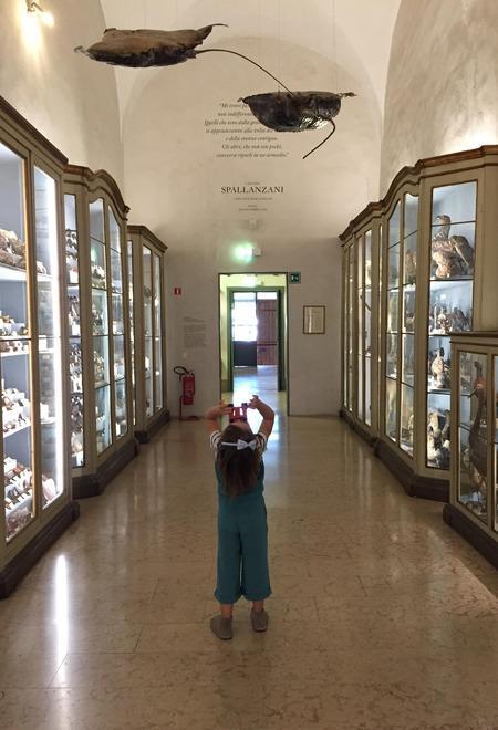 Già inviate mille foto per la realizzazione di un grande mosaico firmato da Fontcuberta