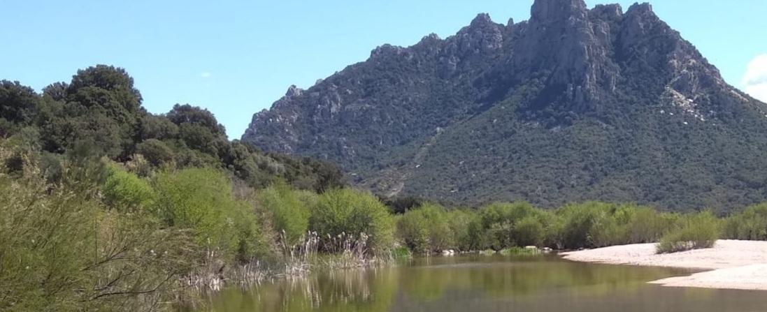 «Un parco vicino alla gente solo così potremo vincere» 