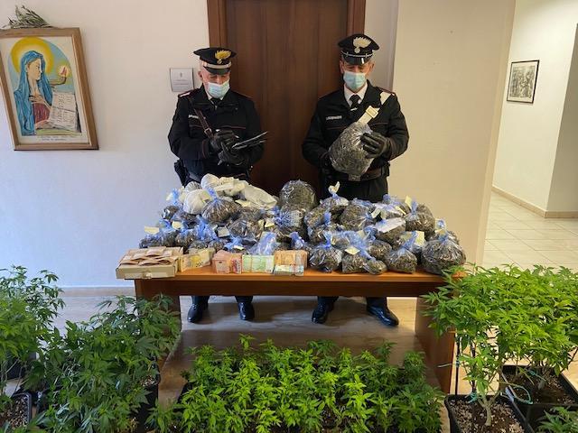 Olbia, mini serre di marijuana nel negozio di cannabis legale, fidanzati arrestati 