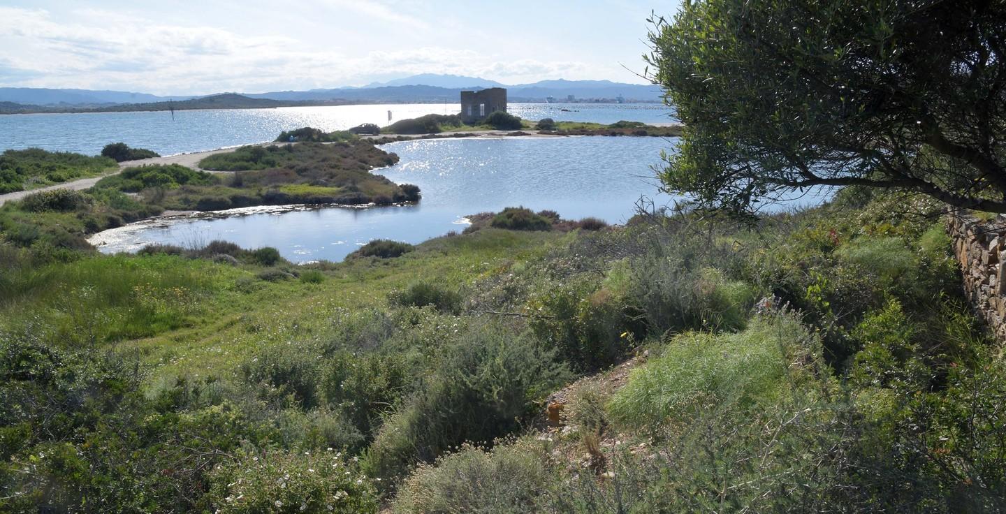 Olbia, ok al cemento a Sa Testa: la maggioranza va avanti 