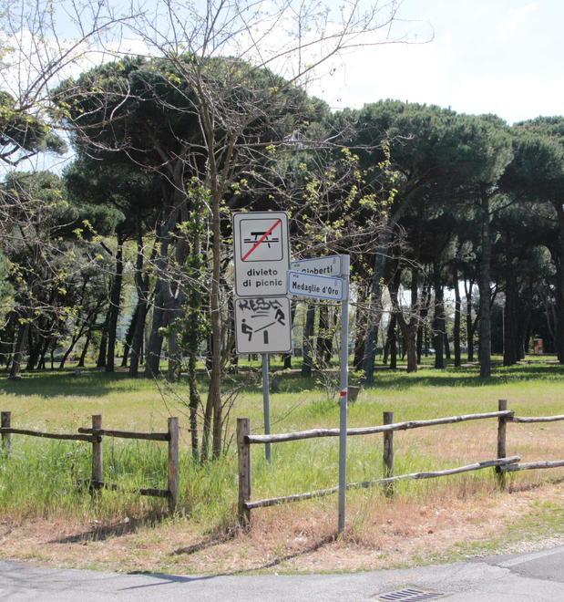 Verranno abbattuti 19 alberi nei parchi ma saranno sostituiti