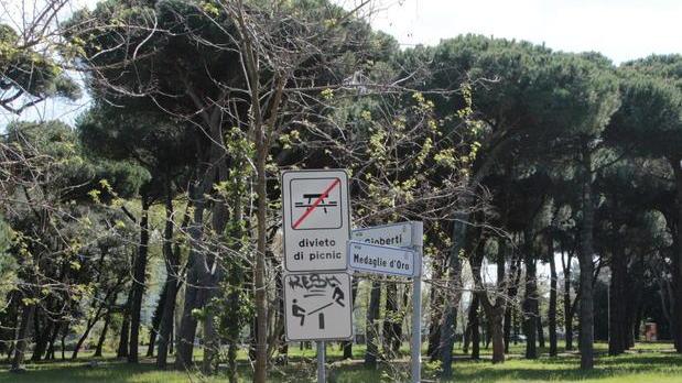 Verranno abbattuti 19 alberi nei parchi ma saranno sostituiti