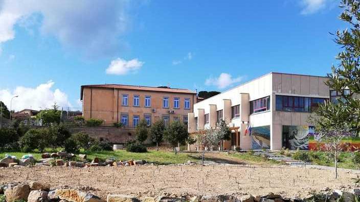Allestita a Concia di Terra la vigna didattica del Foresi