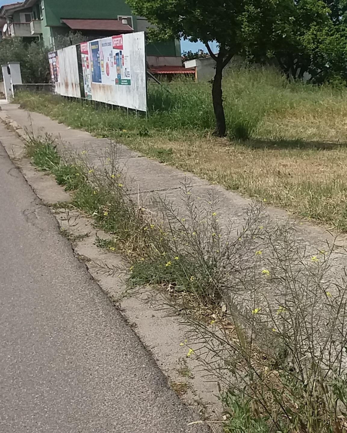 Ghilarza, chi ha il reddito di cittadinanza pulirà parchi e giardini