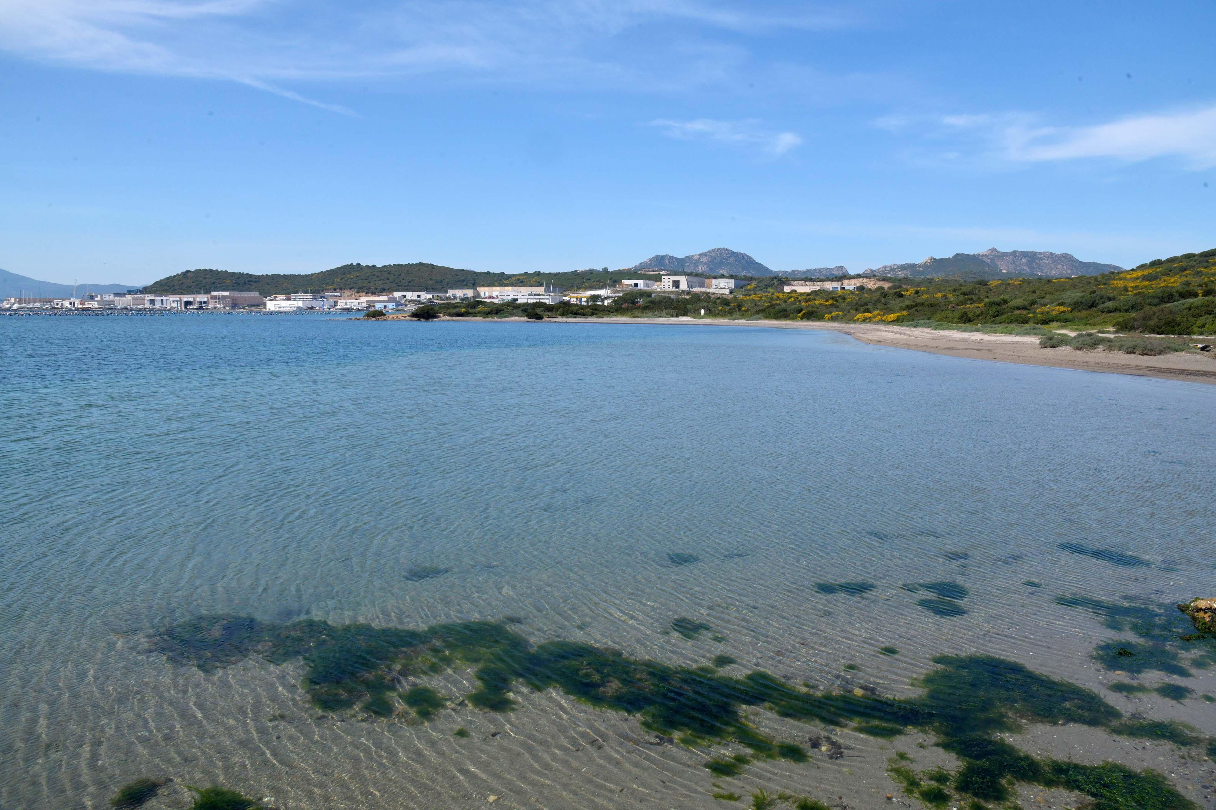 Olbia, un solo no dalla maggioranza ai capannoni a Sa Testa. Cantelli: «La mia visione è ecosostenibile»