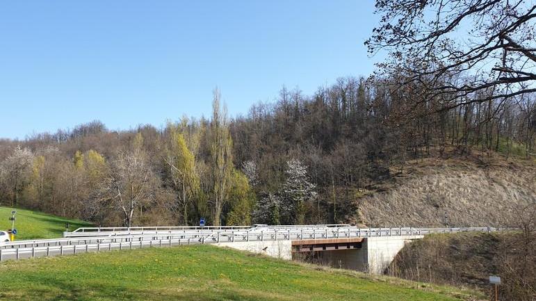 Un dei due viadotti che passono sotto la frazione di Pignedolo