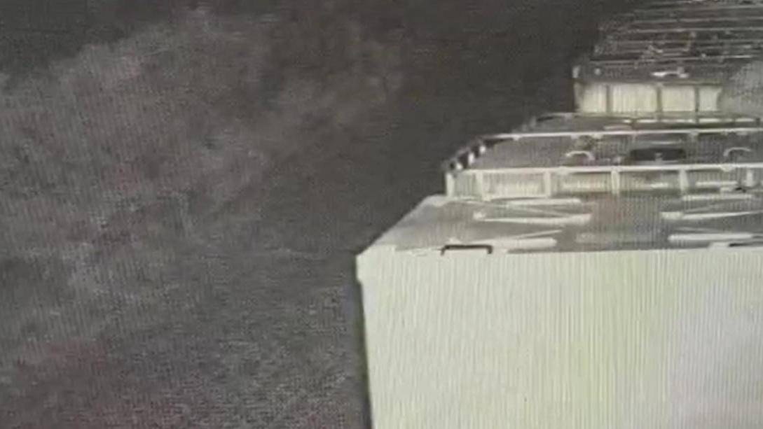 I ladri mentre tentano di entrare nell'oleificio Intramark