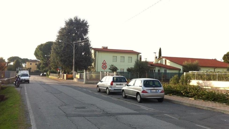 In arrivo 1.300 nuovi alberi per respirare un’aria migliore