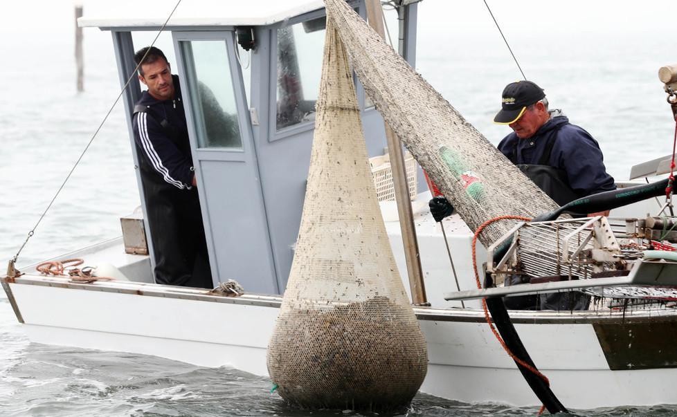 «In Sacca i comacchiesi non vengono» Vongole, dopo la tregua risale la tensione