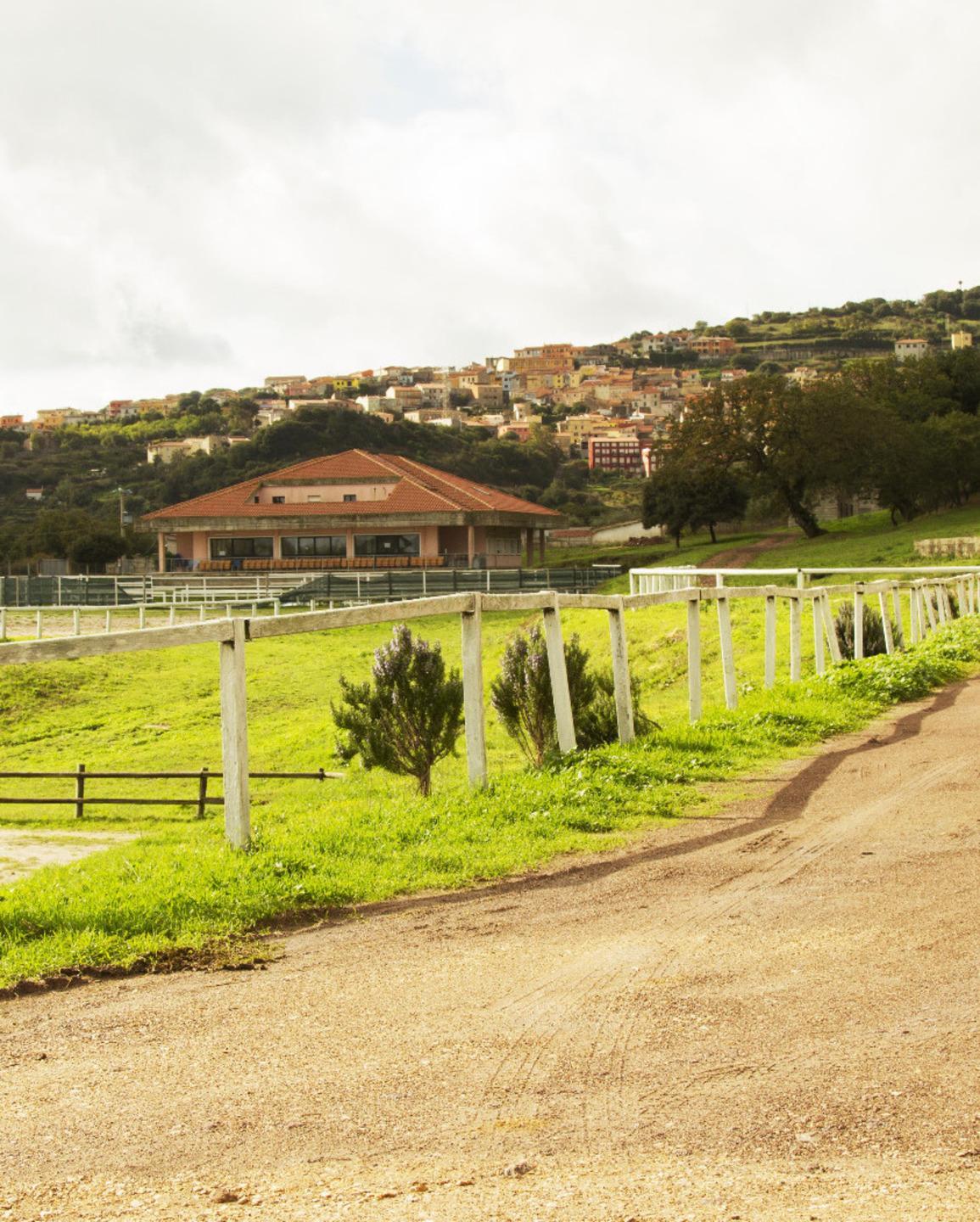 Villanova, riapre la stazione di monta naturale del centro ippico