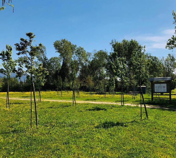 Parco di Cisanello, arrivano 400mila euro di finanziamento