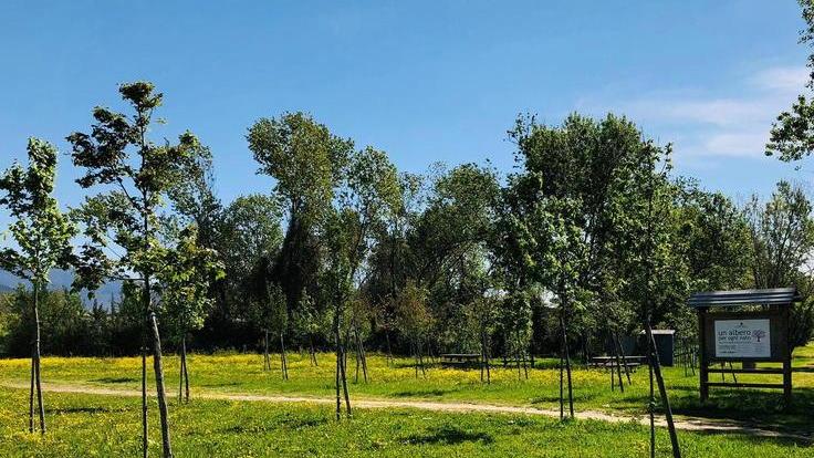 Parco di Cisanello, arrivano 400mila euro di finanziamento